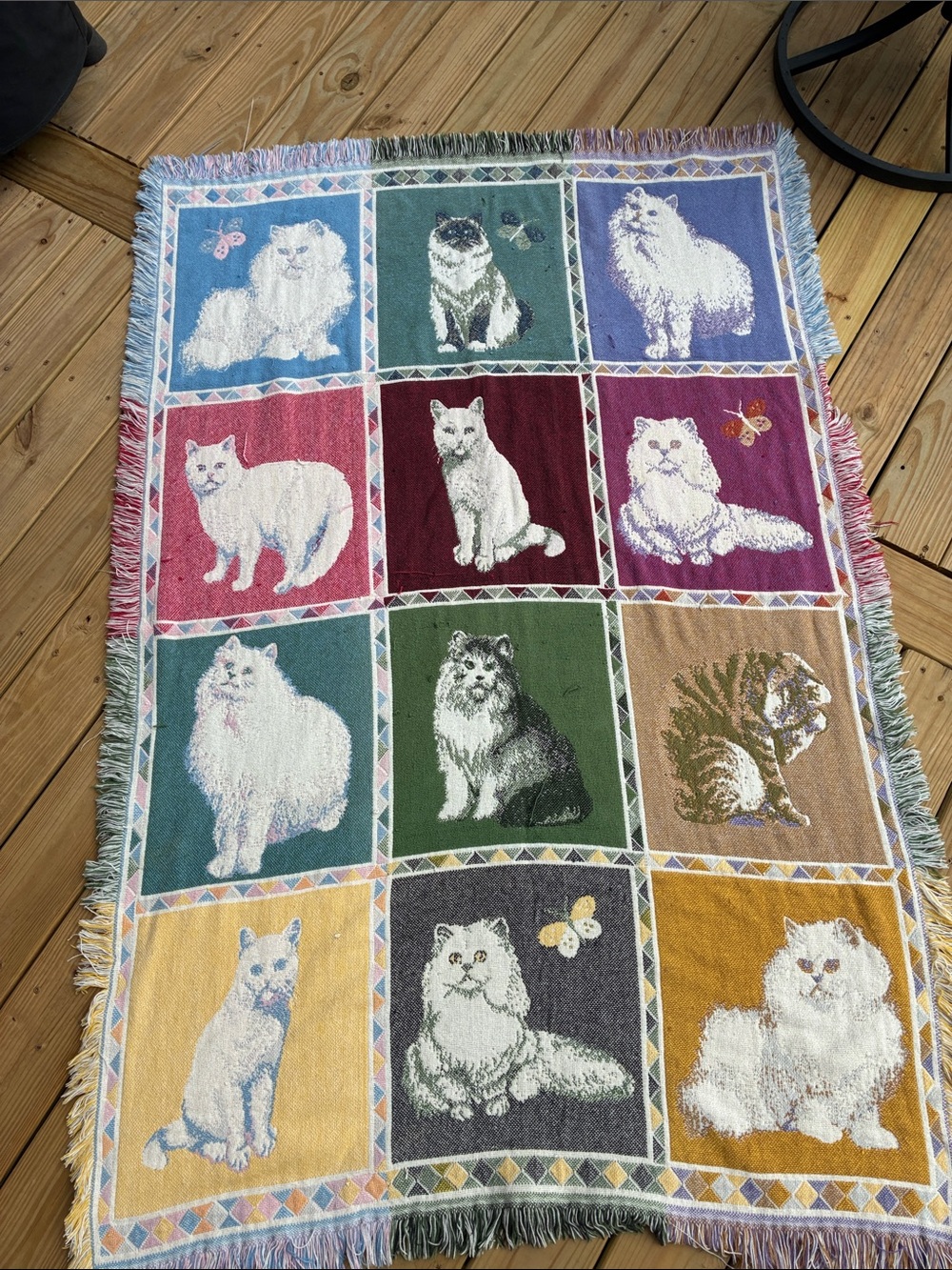 Cat Throw Blanket!